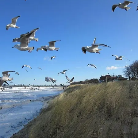 Διαμέρισμα By The Baltic Sea